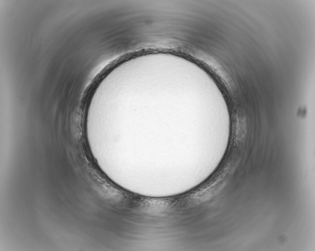 X0000093560878200711121012