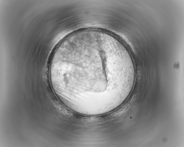 X0000093560879200711121012