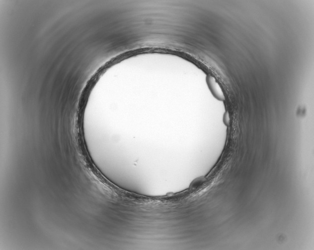 X0000093560880200711121012
