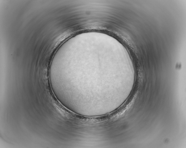 X0000093560881200711121012