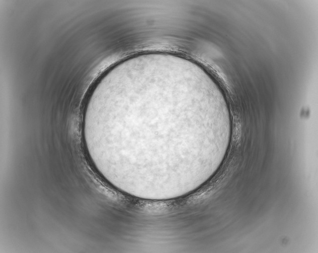 X0000093560882200711121012