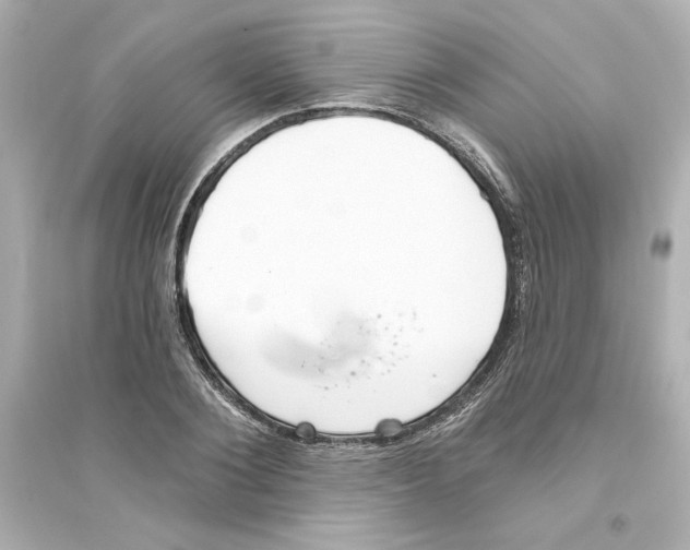 X0000093560884200711121012