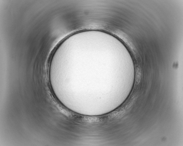 X0000093560886200711121012