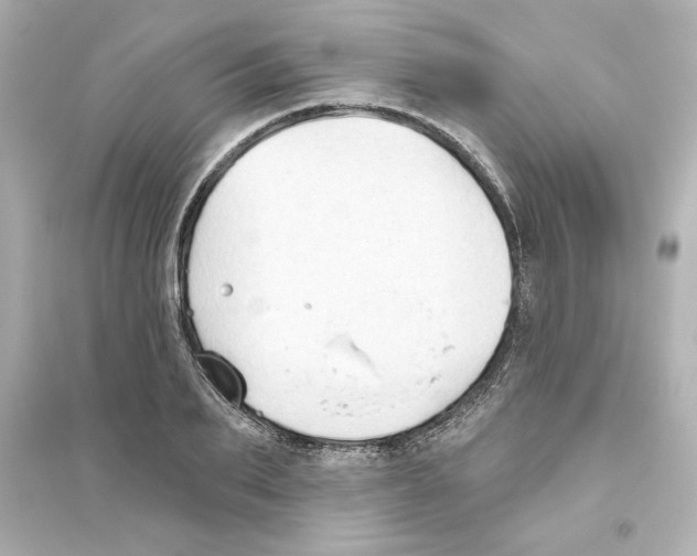 X0000093560887200711121012