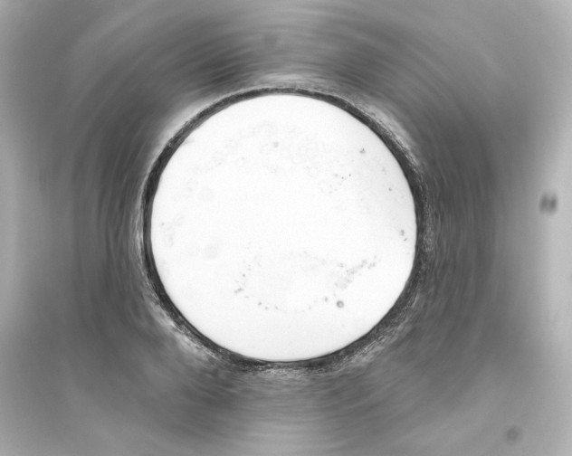 X0000093560888200711121012
