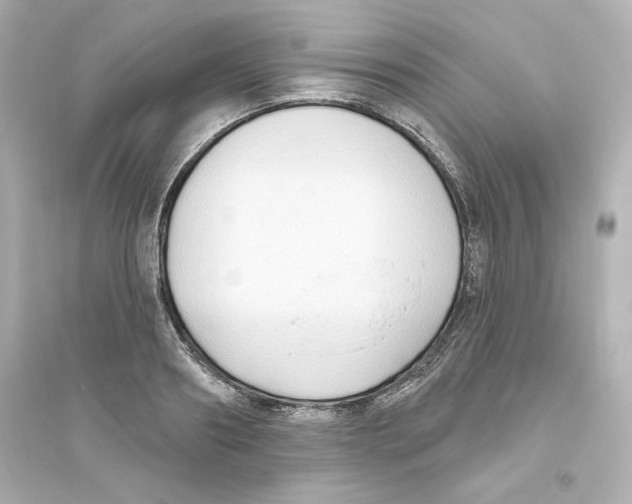 X0000093560890200711121012