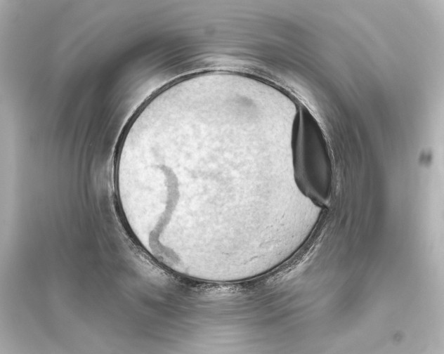 X0000093560891200711121012
