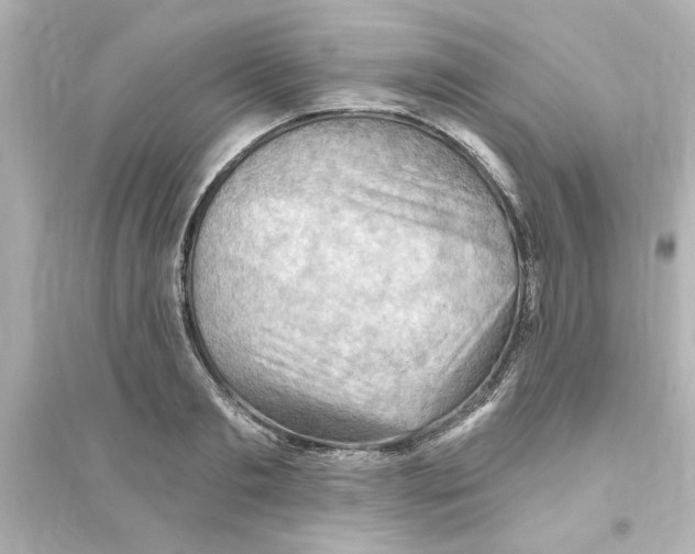 X0000093560893200711121012