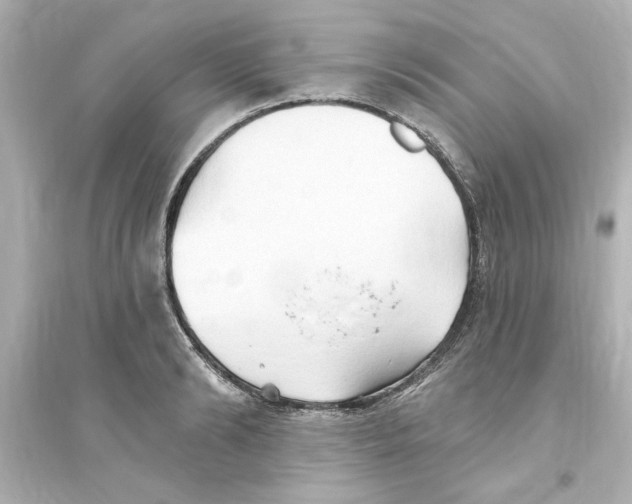 X0000093560894200711121012