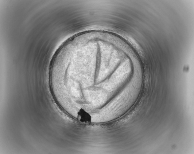 X0000093560896200711121012
