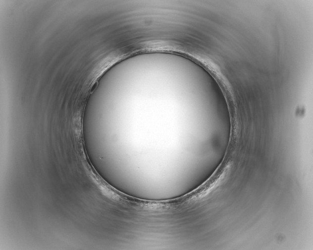 X0000093560897200711121012