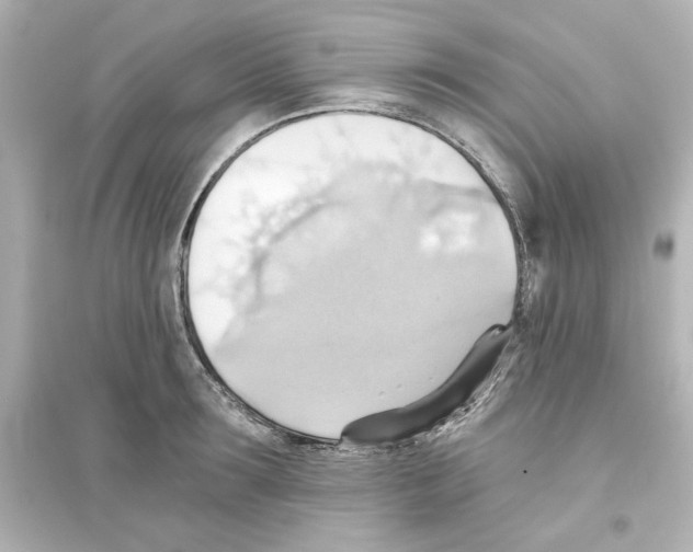 X0000093560899200711121011