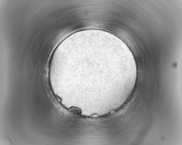 X0000093560900200711121011
