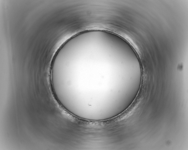 X0000093560901200711121011