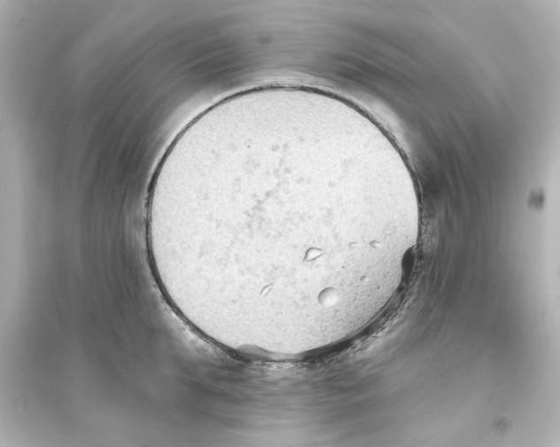 X0000093560903200711121011