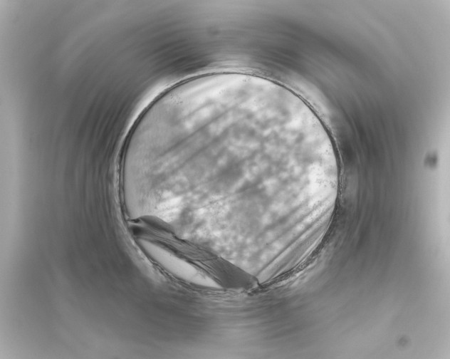 X0000093560907200711121011