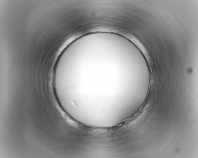 X0000093560909200711121011