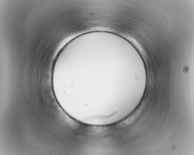 X0000093560910200711121011