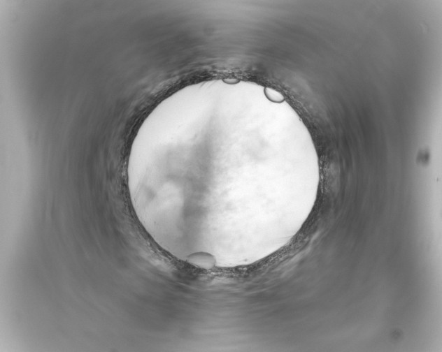 X0000093560913200711121010