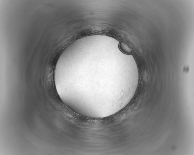 X0000093560914200711121010