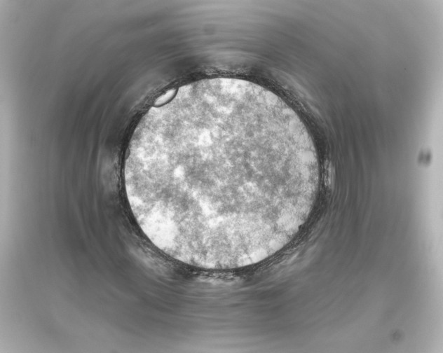 X0000093560915200711121010