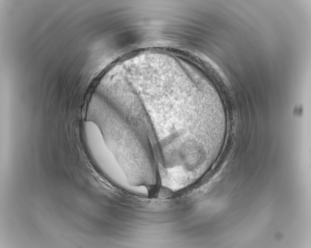 X0000093560921200711121011