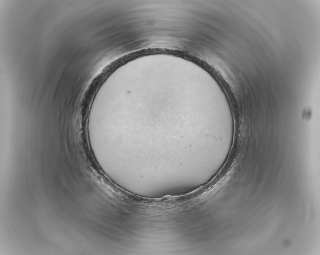 X0000093560923200711121011
