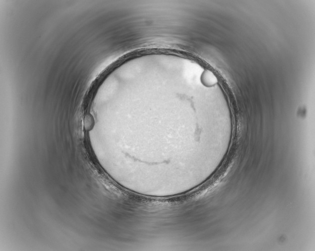 X0000093560925200711121011