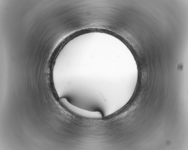 X0000093560926200711121011