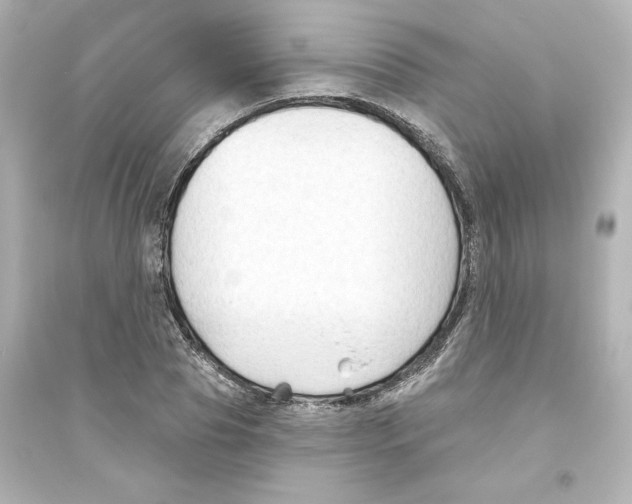 X0000093560929200711121011