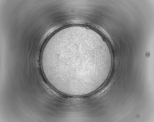 X0000093560930200711121011