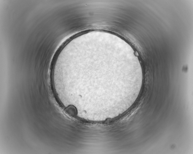 X0000093560932200711121011