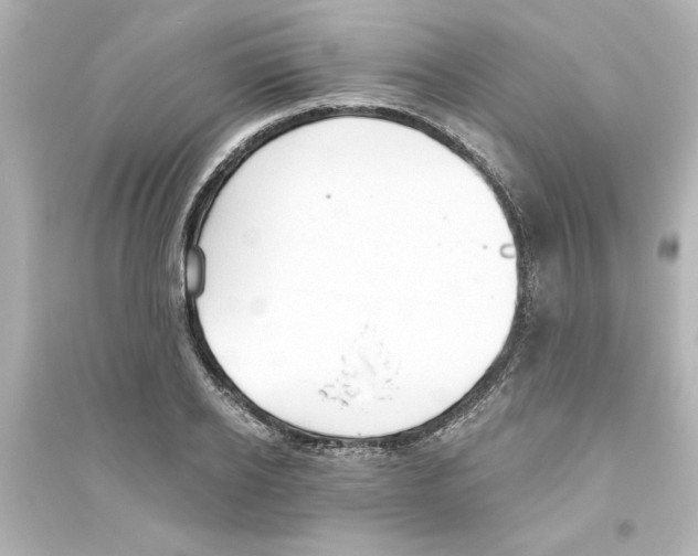 X0000093560934200711121011
