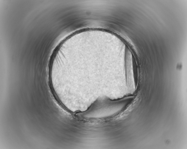 X0000093560935200711121011