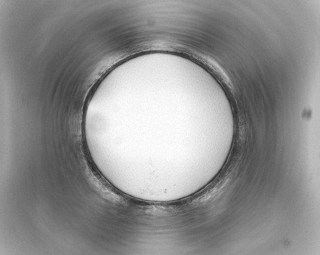 X0000093560938200711121011