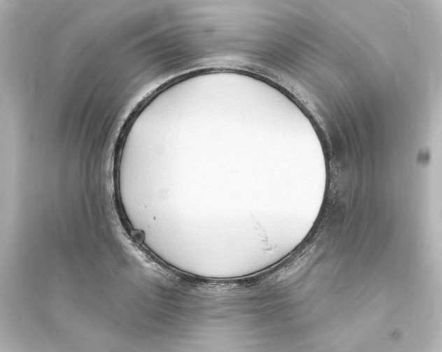 X0000093560939200711121011