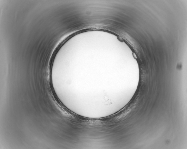 X0000093560940200711121011