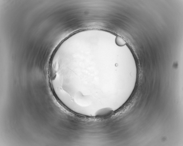 X0000093560941200711121011
