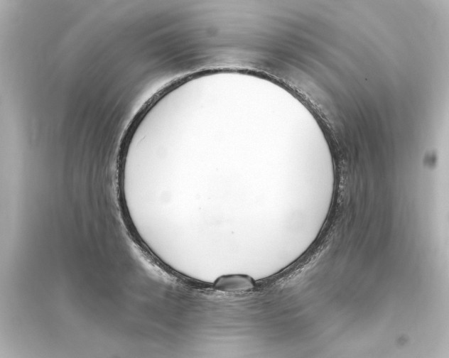 X0000093560942200711121011