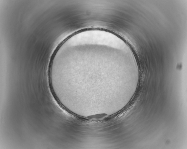 X0000093560943200711121011