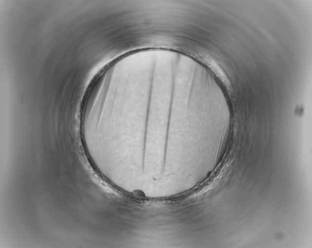 X0000093560944200711121011
