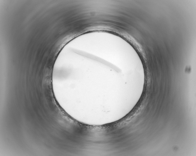 X0000093560945200711121011
