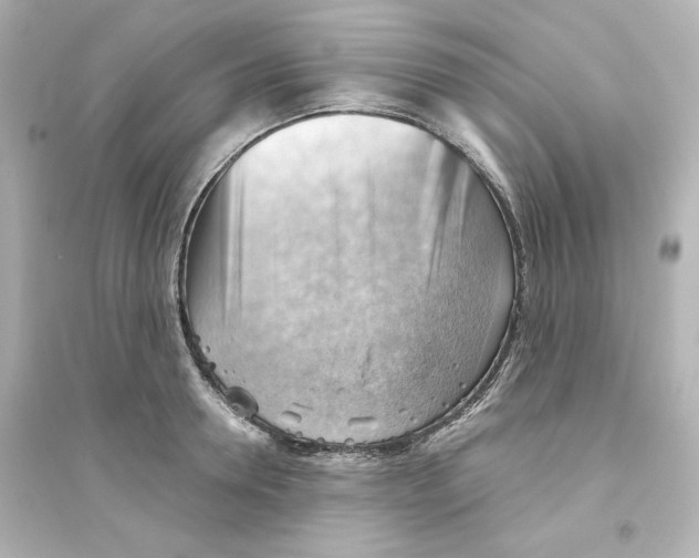 X0000093560946200711121011