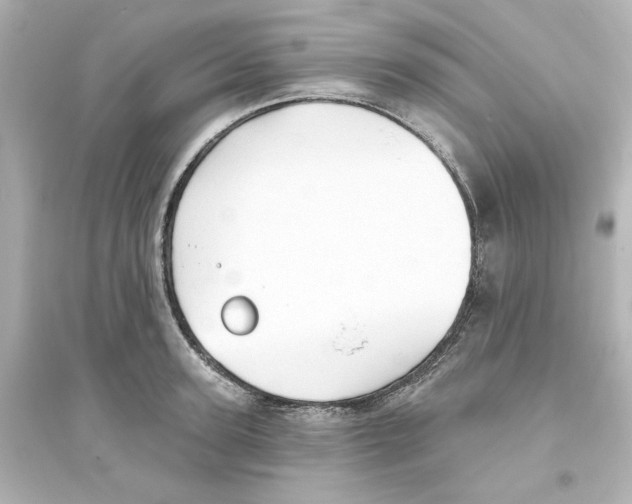 X0000093560947200711121011