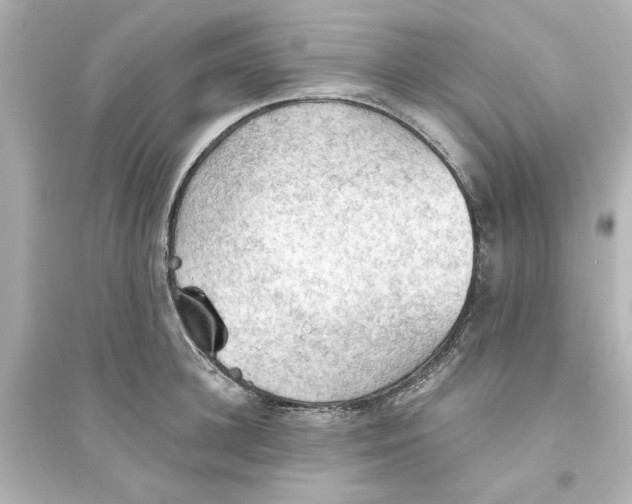 X0000093560948200711121011