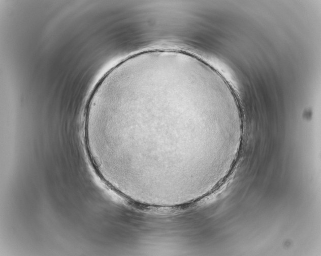X0000093560950200711121011