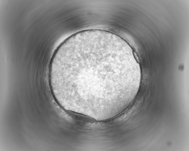 X0000093560952200711121011