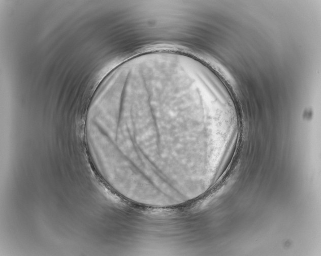 X0000093560953200711121011