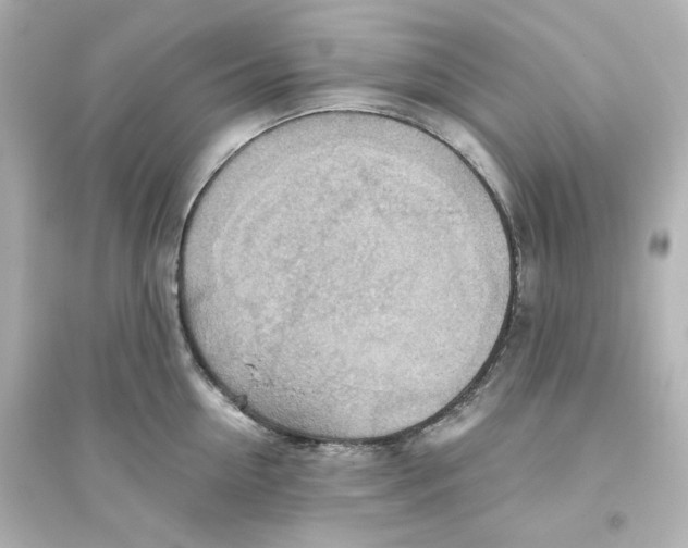 X0000093560954200711121011