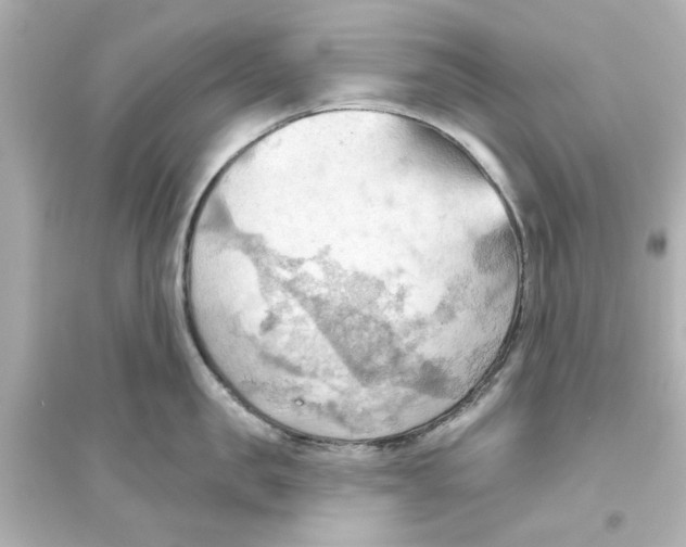 X0000093560957200711121011